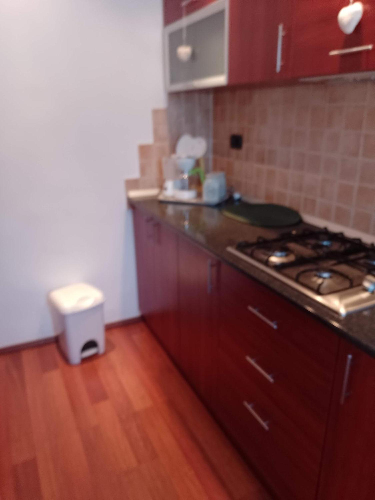 Ferienwohnung Casa Doina Băile Felix Exterior foto