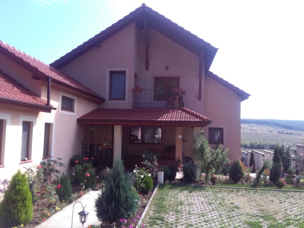 Ferienwohnung Casa Doina Băile Felix Exterior foto